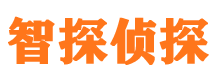 城厢侦探公司